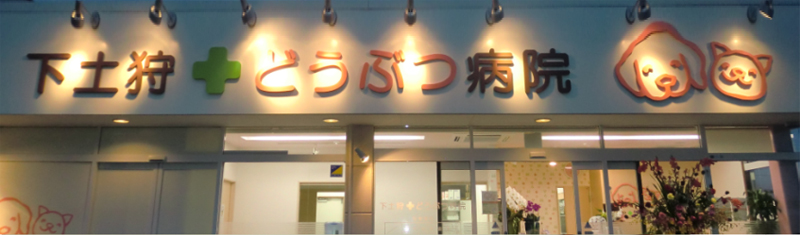 トップページ
